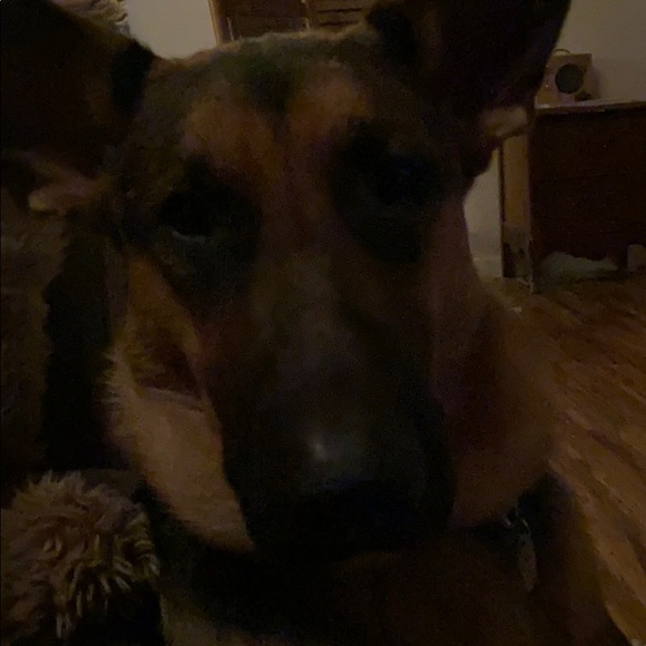 Profile Picture of Isaac Van etten (@slackface) on Poshmark