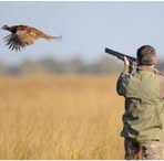 Profile Picture of Robert Chasseur (@Robert-Chasseur) on Facebook