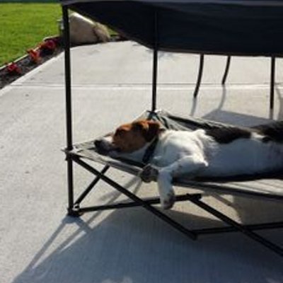 Profile Picture of Justin Grosskurth (@jgrosskurth) on Twitter