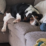 Profile Picture of David Rochat (@Germanzinch) on Youtube