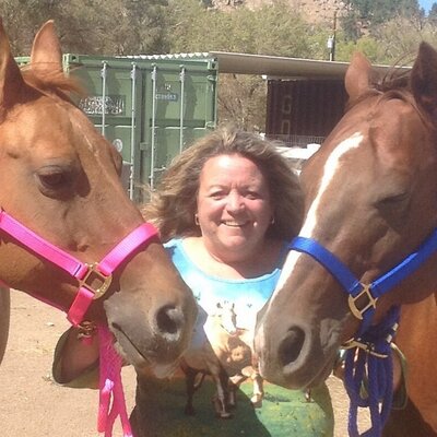 Profile Picture of Nancy Healy (@nansdrew) on Twitter