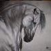 Profile Picture of juan carlos (@zapataljc) on Pinterest