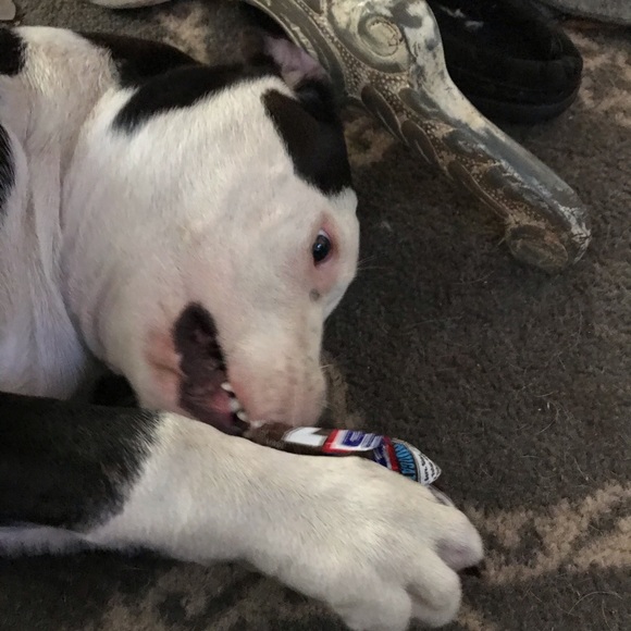 Profile Picture of Amber Jeter (@amber_jeter) on Poshmark