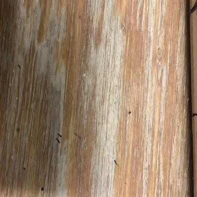 Profile Picture of Kyle Kinard (@90Special_K) on Twitter