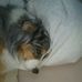 Profile Picture of Peter Ferdigg (@peter.ferdigg.9) on Facebook
