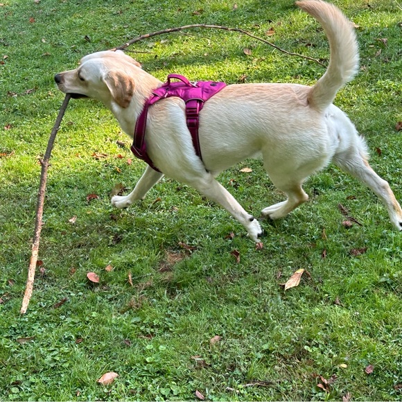 Profile Picture of Shawna Linderman (@shawnagursky) on Poshmark