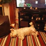 Profile Picture of Christopher Alger (@christopher.alger.7) on Instagram