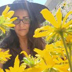 Profile Picture of Brandi Catherine McGinnis (@peacelove_guerrillawarfare) on Instagram