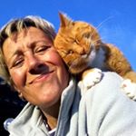Profile Picture of Janet Cave (@janetlcave) on Instagram
