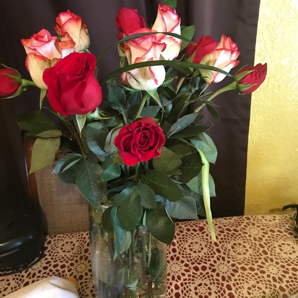 Profile Picture of Annabel Carriaga (@daryanna90) on Poshmark