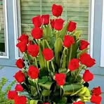 Profile Picture of Joseph Peddy (@Joseph-Peddy) on Facebook