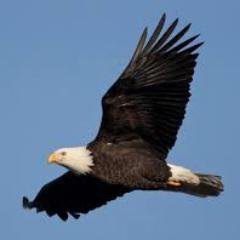 Profile Picture of Jonathan Abercrombie (@Abercrombie5150) on Twitter