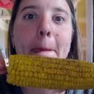 Profile Picture of Rachel Temple-Roberts (@rcrlilly2) on Pinterest