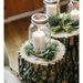 Profile Picture of Laura Link (@lauravlink) on Pinterest