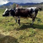 Profile Picture of Jessica Artus (@artusjessica) on Instagram