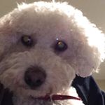 Profile Picture of Caitlin Conophy (@c_c_042) on Instagram