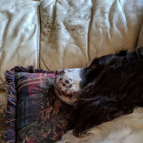 Profile Picture of Joanne Hartzheim (@joannehartzheim) on Poshmark