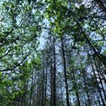 Profile Picture of Trapp_ (@tamaraxbeauty_) on Instagram