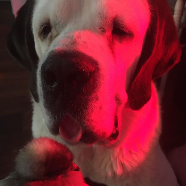 Profile Picture of Erika Erickson (@@erikaerickson94) on Tiktok