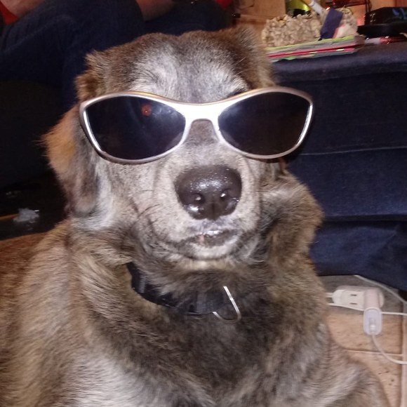 Profile Picture of Brian Gunning (@briangunning) on Poshmark