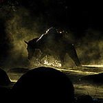 Profile Picture of Carlo Cattaneo (@carlo c. quintero) on Flickr