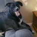 Profile Picture of Scott Bieser (@scott.bieser.338) on Facebook