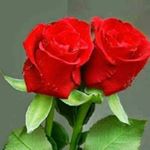 Profile Picture of Moktar Ahmed Cox'bazar (@moktarcoxbazar) on Instagram