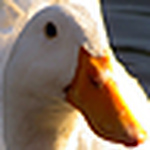 Profile Picture of Dabin Lambert (@dabin lambert) on Flickr