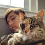 Profile Picture of David Mulder (@muldermuseum) on Instagram