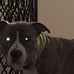 Profile Picture of Bobbie Jarrell (@bobbie.jarrell.10) on Facebook