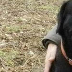 Profile Picture of Robert TheHedgehog Jezyk (@robertjezyk) on Instagram