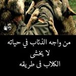 Profile Picture of hisham nour (@hishamnour1983) on Instagram