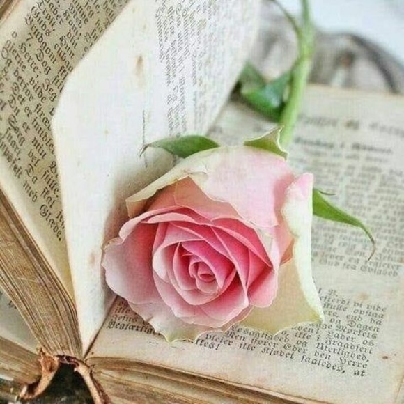 Profile Picture of Delaram Vossough (@delaram_ghasemi) on Poshmark