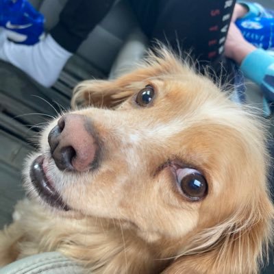 Profile Picture of Adam Kochanowski (@AdamKochanowsk2) on Twitter