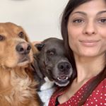 Profile Picture of Mélanie Gutapfel (@melanie.gutapfel) on Instagram