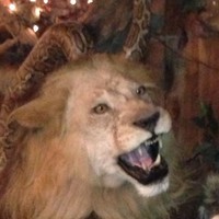 Profile Picture of Randy Wipf (@randy-wipf-8) on Quora