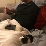 Profile Picture of Adam Robson (@robsonadam42) on Instagram