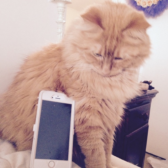 Profile Picture of Mark Stathos (@mestathos) on Poshmark