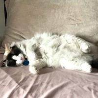 Profile Picture of Sharaday Ehuan (@sharaday-ehuan) on Quora