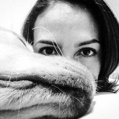 Profile Picture of AL (@ALeon829) on Twitter