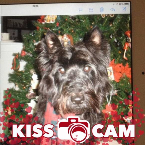 Profile Picture of Bonnie Boyd (@bjboyd62) on Poshmark