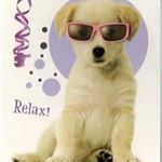 Profile Picture of David Malinowski (@davidmalinowski90) on Instagram