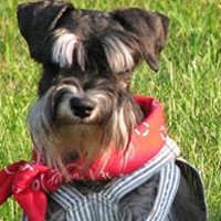 Profile Picture of Diane Conroy (@diane-conroy-1) on Quora