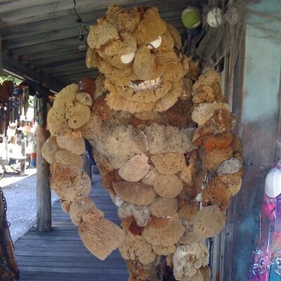 Profile Picture of Mike Vanderslice (@Carlspacklr) on Twitter