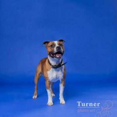 Profile Picture of Sam Callender (@samcc92) on Twitter