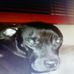 Profile Picture of Kenneth Morrow (@kenneth.morrow.503) on Facebook