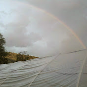 Profile Picture of Ben Schwartz (@benschwartz7102) on Youtube