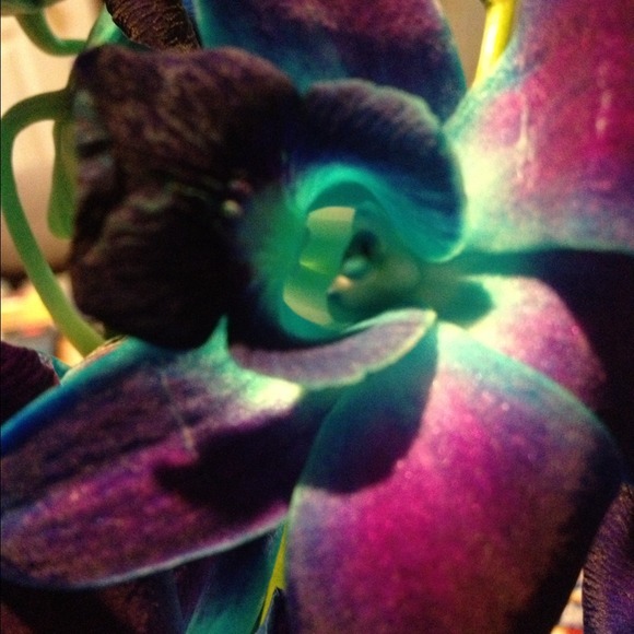 Profile Picture of Ashtin Slovak (@ash10s) on Poshmark