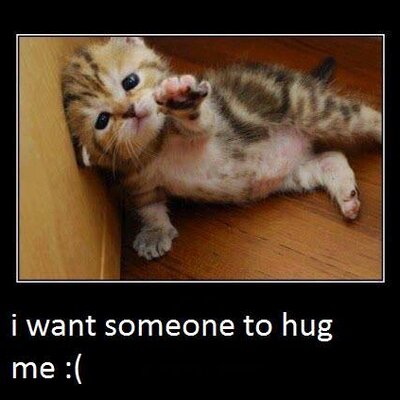 Christopher Laguna - Twitter Profile Picture of Christopher Laguna (@2020Matthew) on Twitter