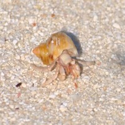 Profile Picture of Tim Simons (@Tim_Simons_) on Twitter